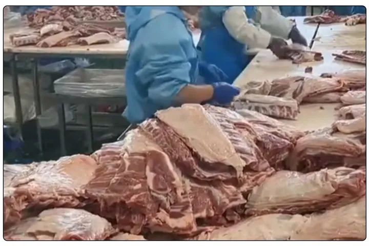 屠宰工廠惡臭影響周邊，使用除臭劑有什么注意要點(diǎn)？.jpg