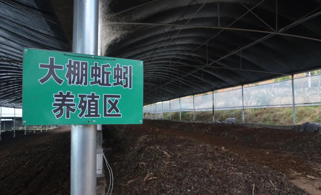 潔匠凈化·的凈工業(yè)除臭劑_的凈工業(yè)除臭劑高效治理蚯蚓養(yǎng)殖惡臭異味大、牛糞味濃