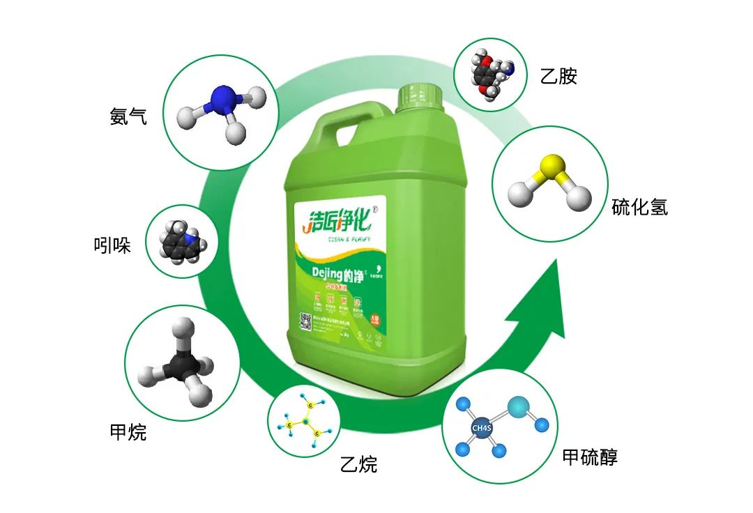 豬糞發(fā)酵“變廢為寶”，Dejing的凈除臭劑切實解決除臭難題！.jpg