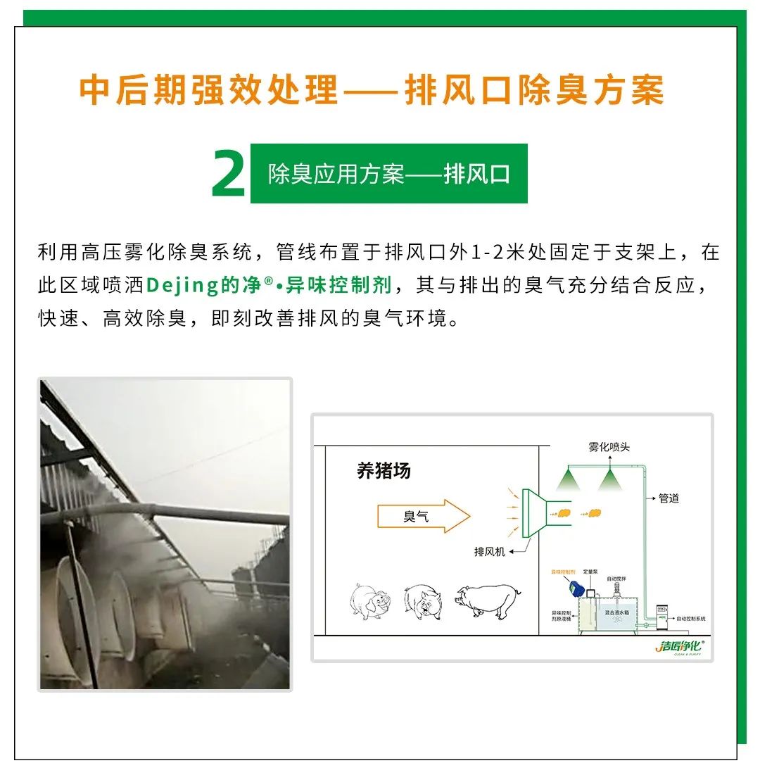 Dejing的凈養(yǎng)殖場(chǎng)除臭劑如何迅速清理養(yǎng)殖場(chǎng)臭味？.jpg