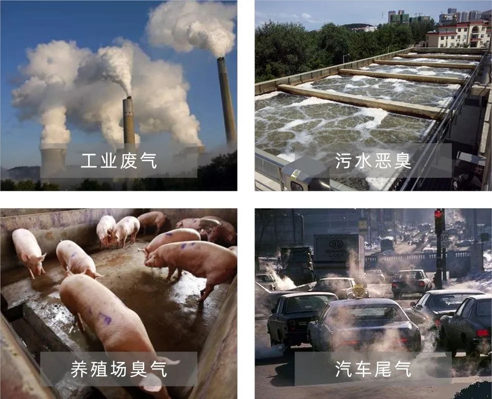 Dejing的凈工業(yè)除臭劑——解決臭味困擾的源頭！.jpg
