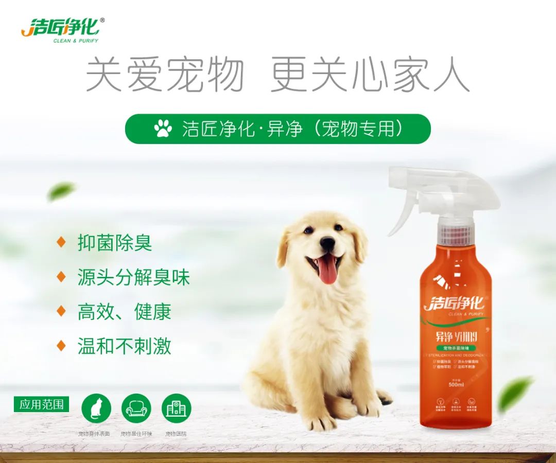 寵物氣味彌漫整個屋子，潔匠凈化教您如何除味